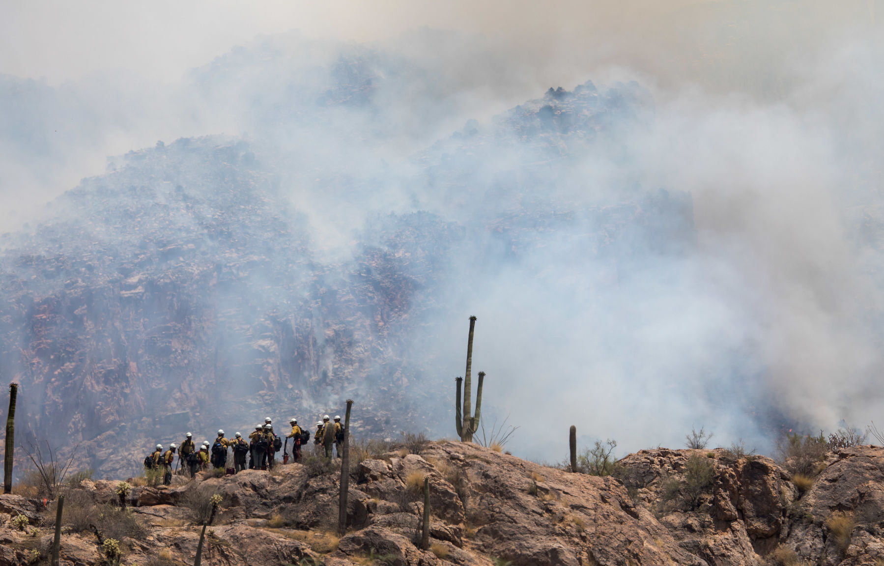 Bighorn Fire - Arizona